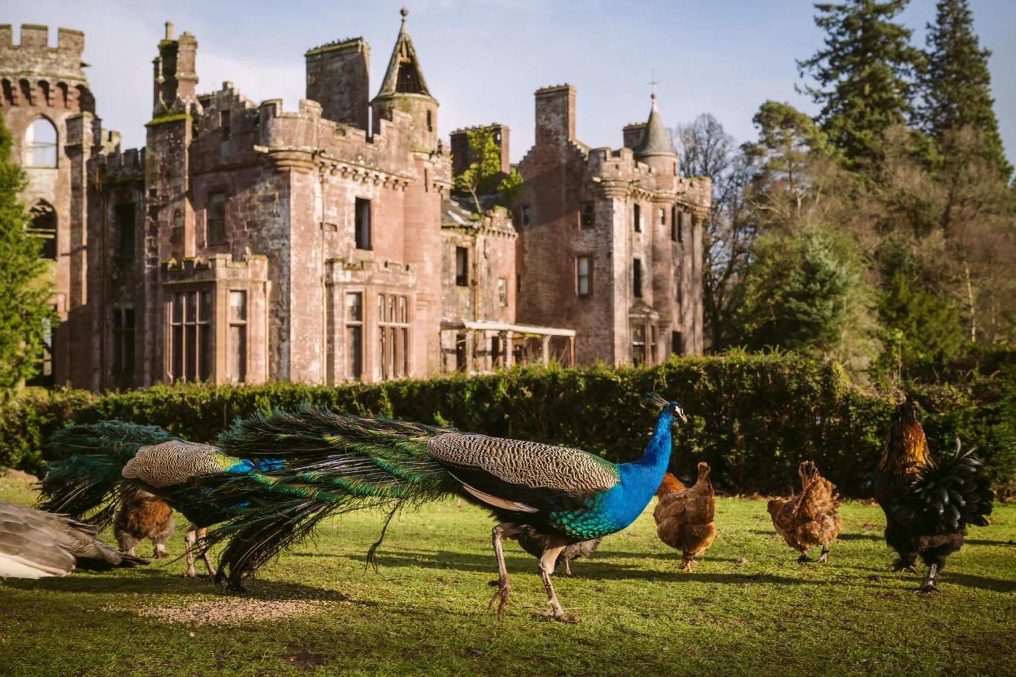 Luxury Woodland Lodge Retreat At Culdees Castle Crieff Exteriér fotografie